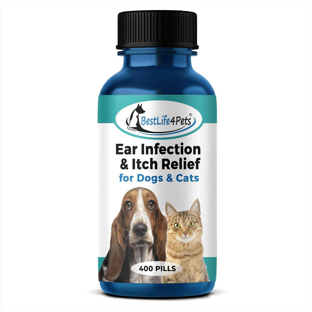 Holistic Ear Infection Treatment for Dogs and Cats G2765