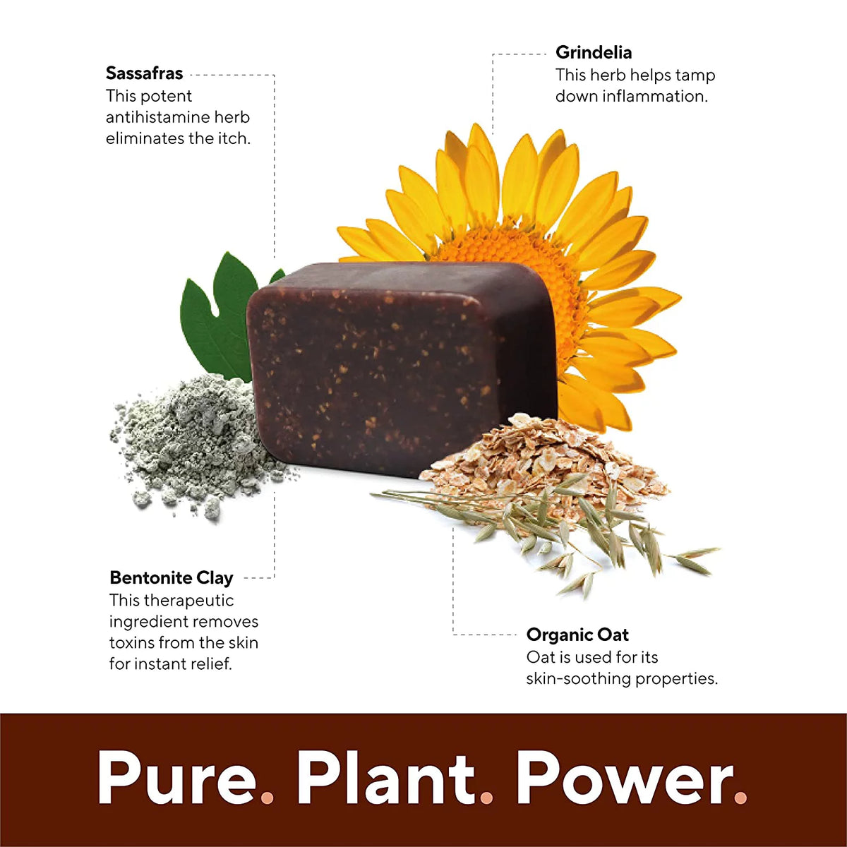 Natural Bar Soap 2.9 Oz 6-Pack C404051