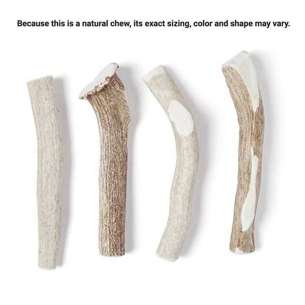 Deer Antler Dog Chew M7591