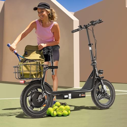 500W/800w/1200w Electric Scooters with Seat R62317