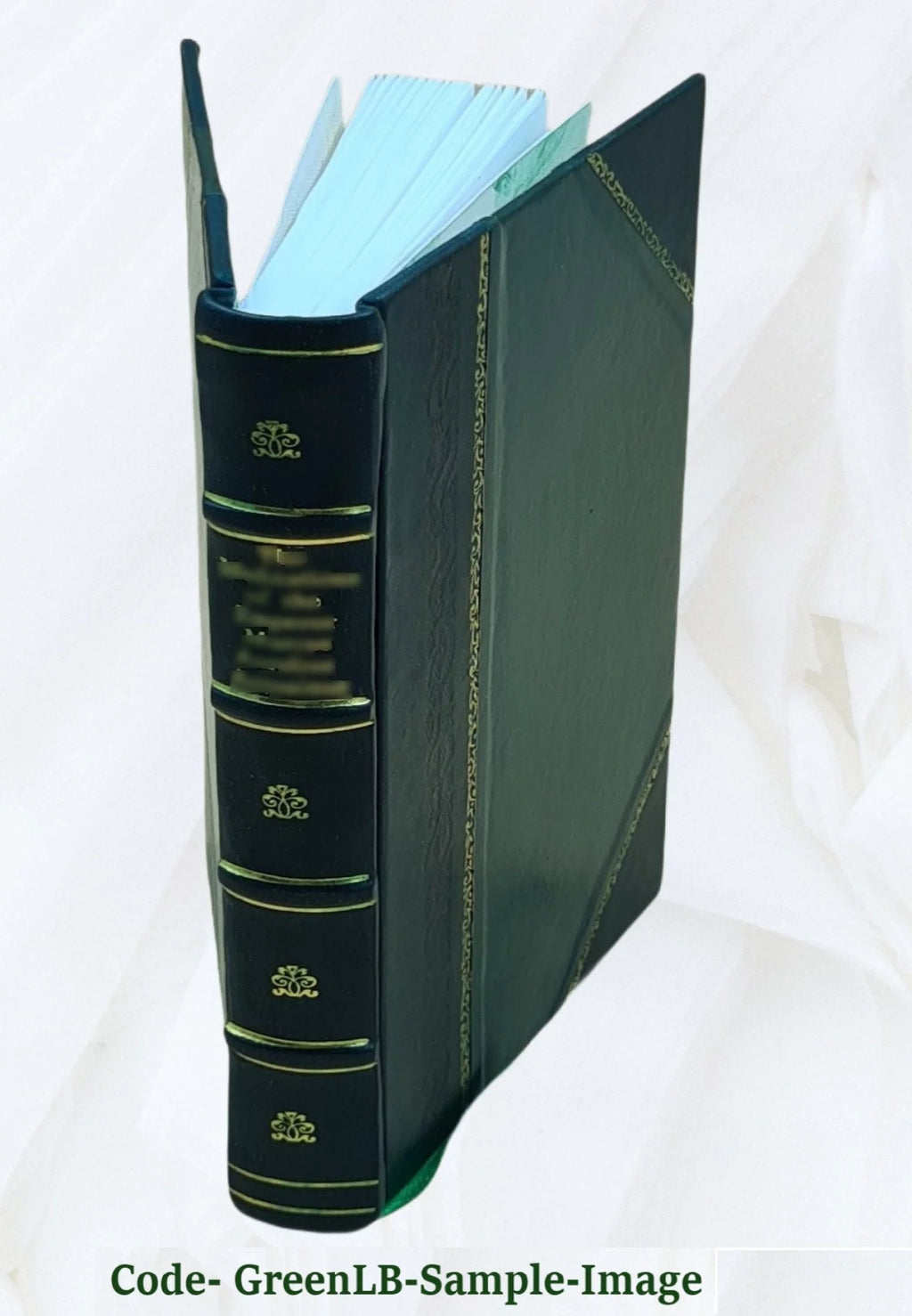 Fontainebleau Itinéraire de la forêt et des environs Leather Bound N742936
