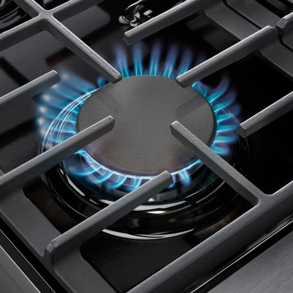 Professional Gas Range N44631