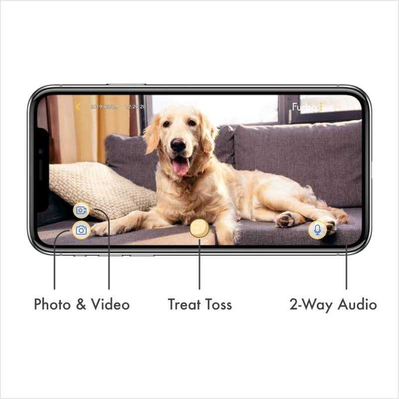 Dog Camera G52984