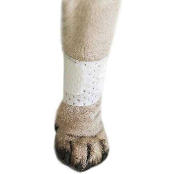 Disposable Dog Bandage Cover W118