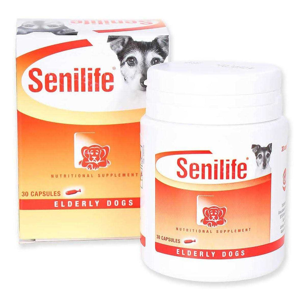Nutritional Supplement for Elderly Dogs B584