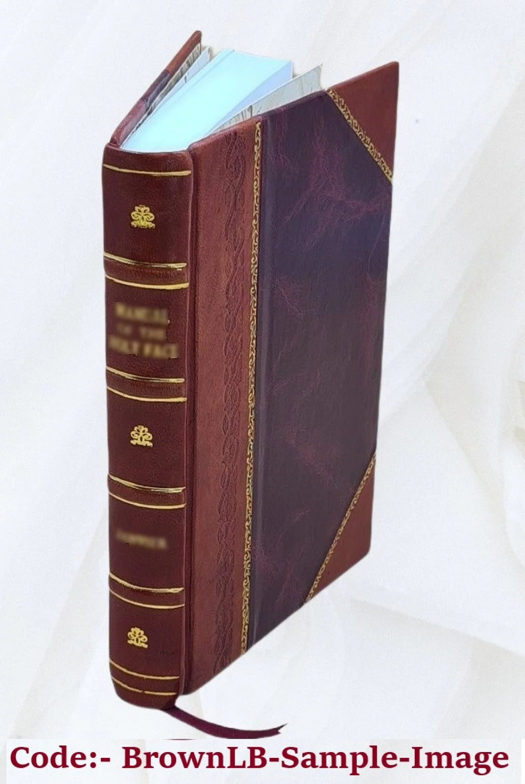 Fontainebleau Itinéraire de la forêt et des environs Leather Bound N742936