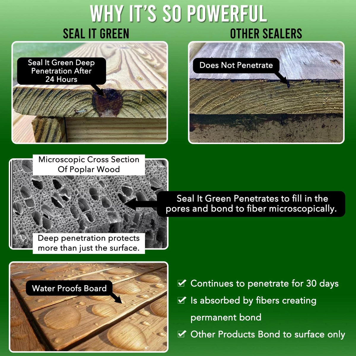 Plant Based Non-Toxic Wood Sealer Quart Kit F62118