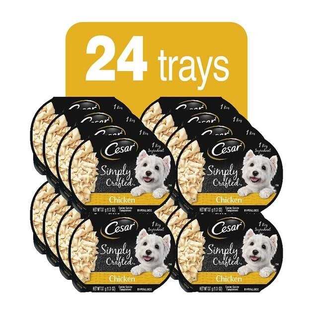 Chicken Pet Supplies S42497