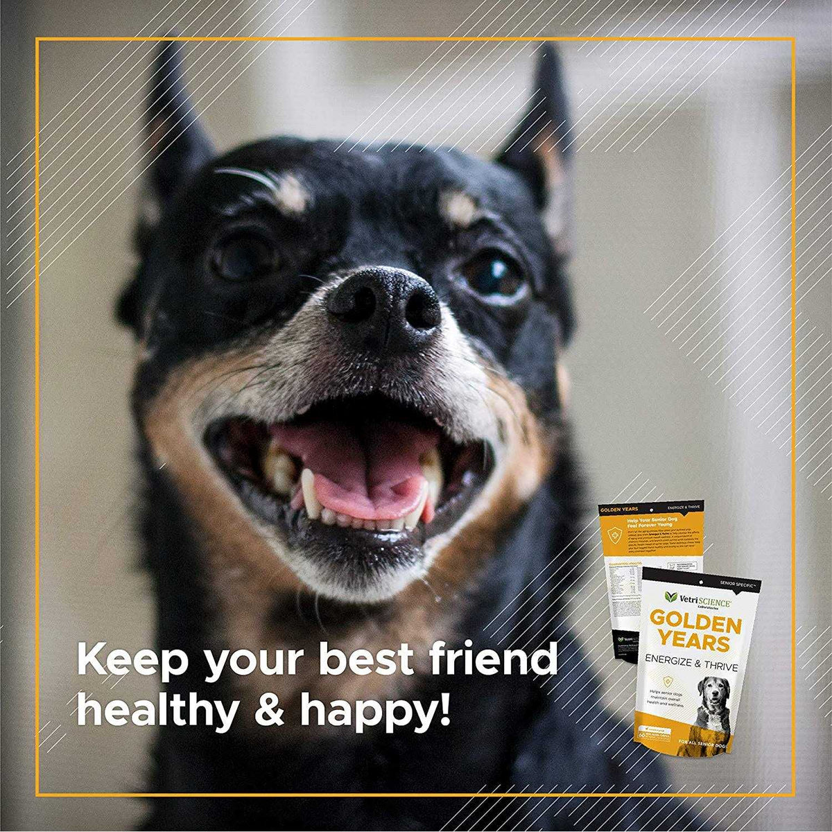 Senior Dogs Multivitamin R454