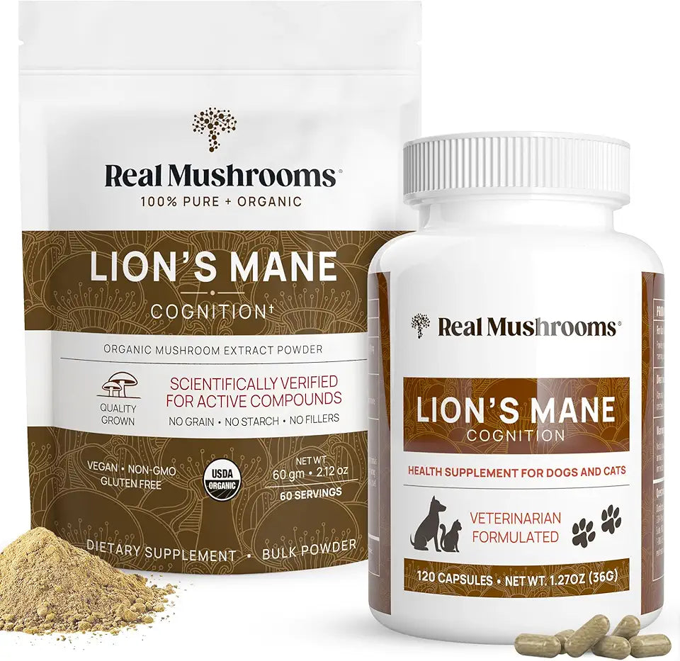Vegan Non-GMO Lions Mane Mushroom Extract Powder & Capsules K905979