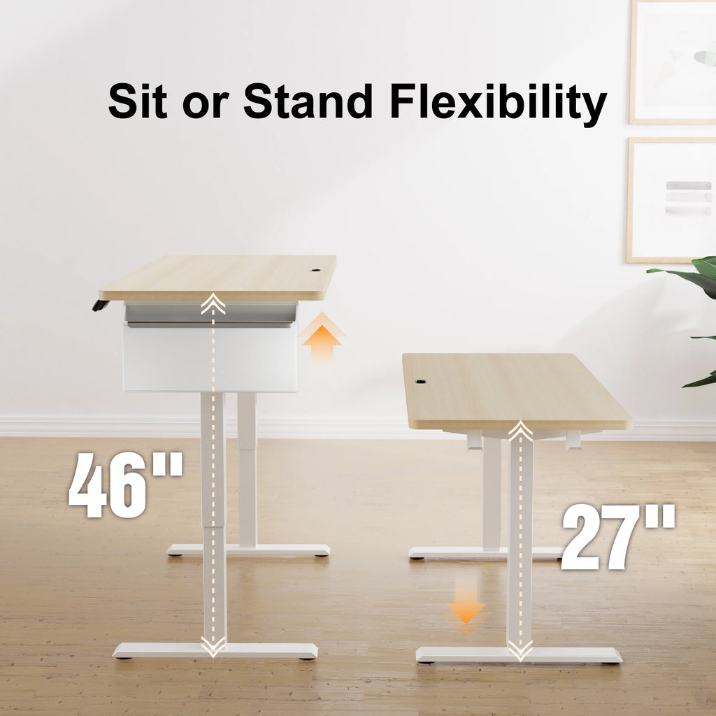 55" x 24" Height Adjustable Electric Standing Desk with Storage Pocket K496491