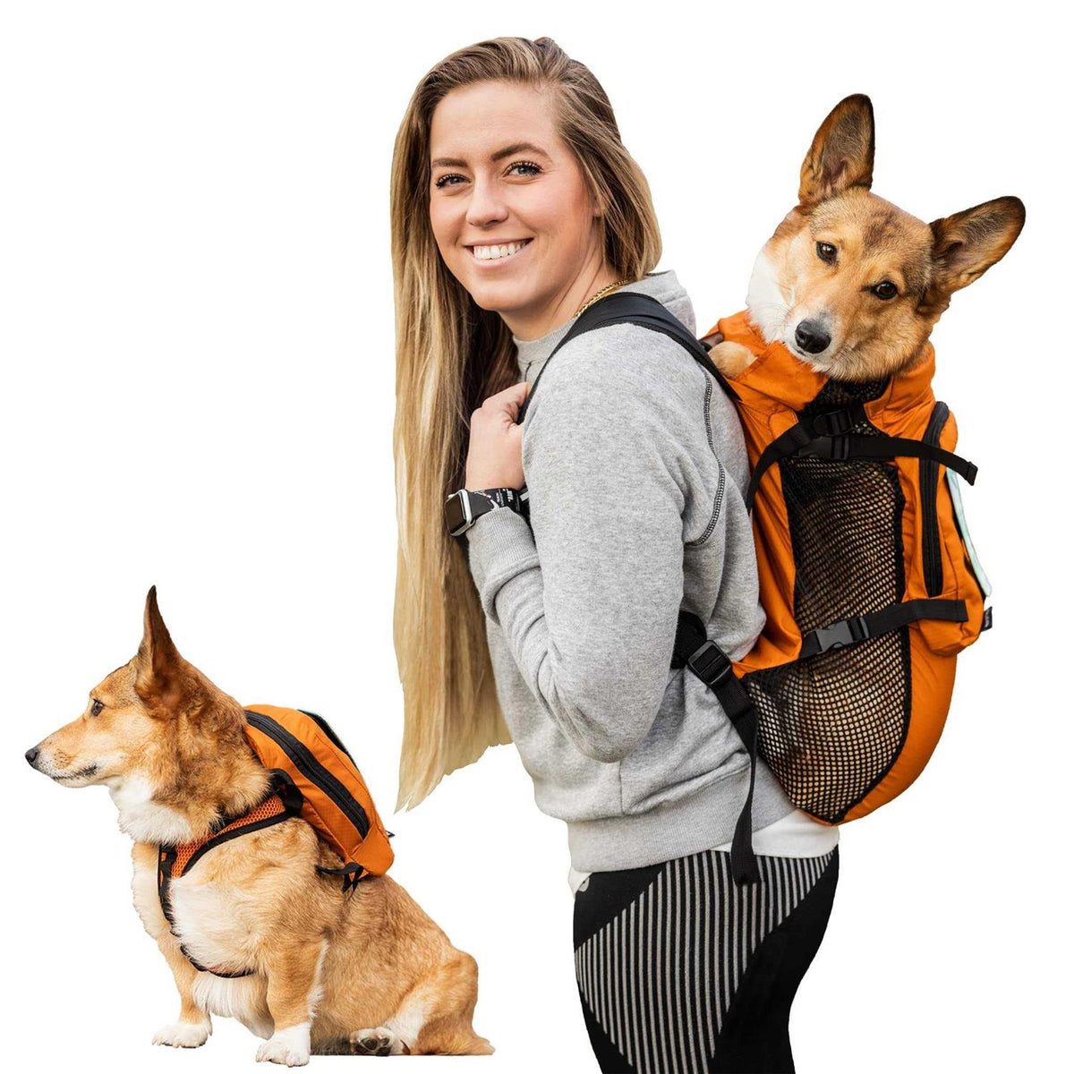 Walk On Dog Harness with Storage X8805
