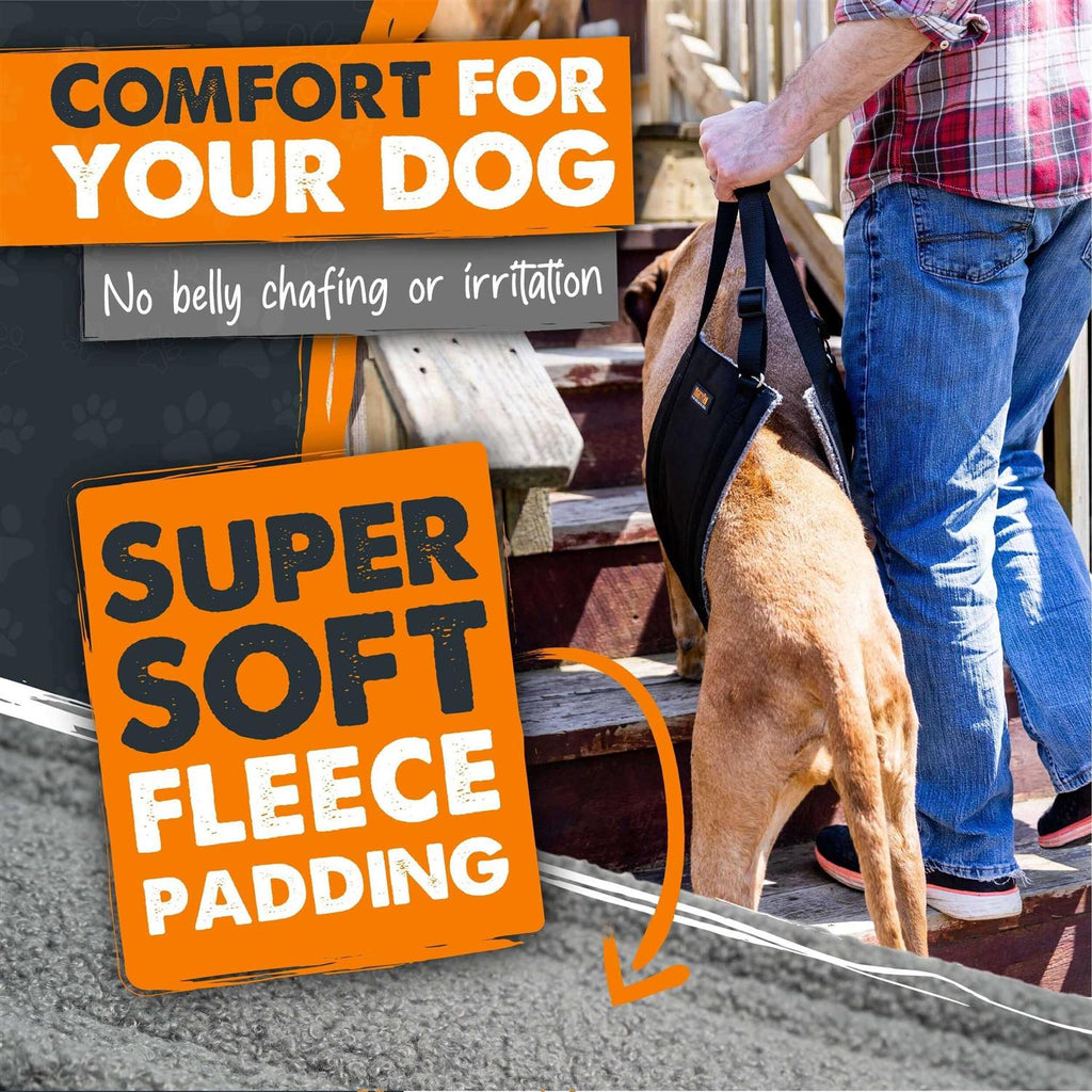 Dog Lift Harness X591957