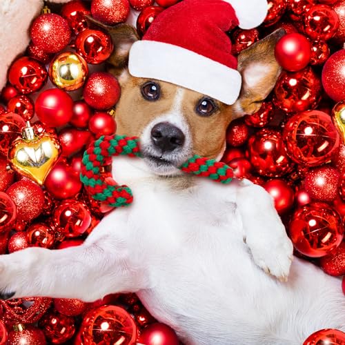 32 Pieces Dog Christmas Chew Toys F590