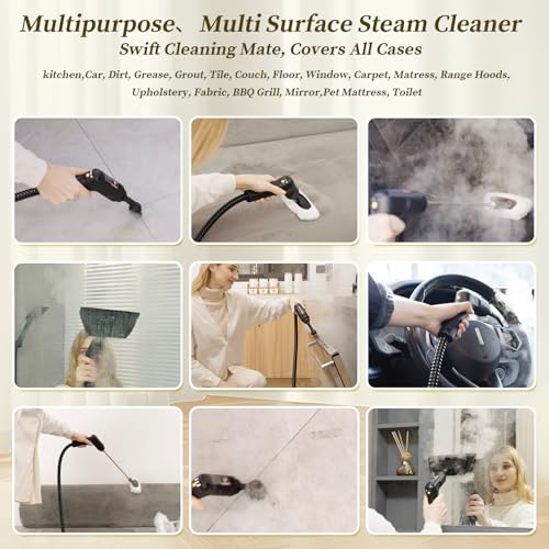 2500W Steam Cleaner with 16PCS Accessories Z82592