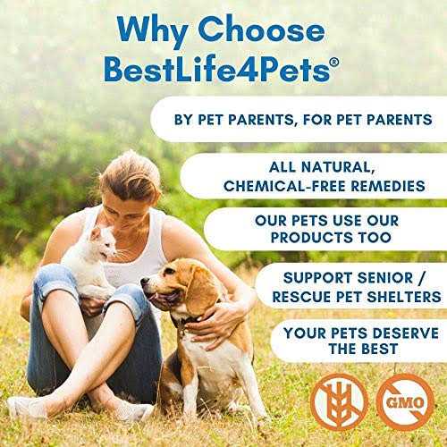 Holistic Ear Infection Treatment for Dogs and Cats G2765