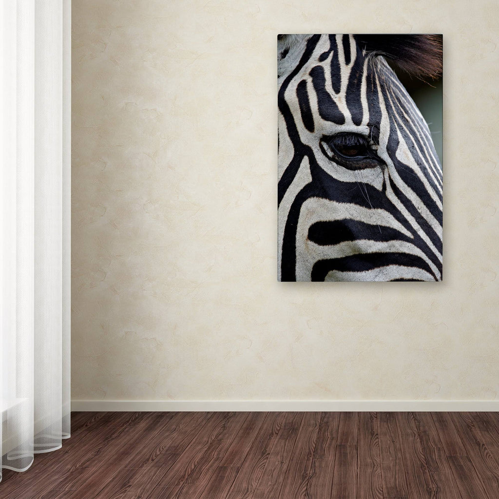 Canvas Art O875