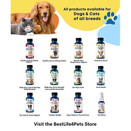Holistic Ear Infection Treatment for Dogs and Cats G2765