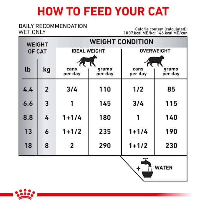 Selected Protein Adult Canned Cat Food C995398