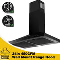 24 inch Wall Mounted 450 CFM Range Hood C840973