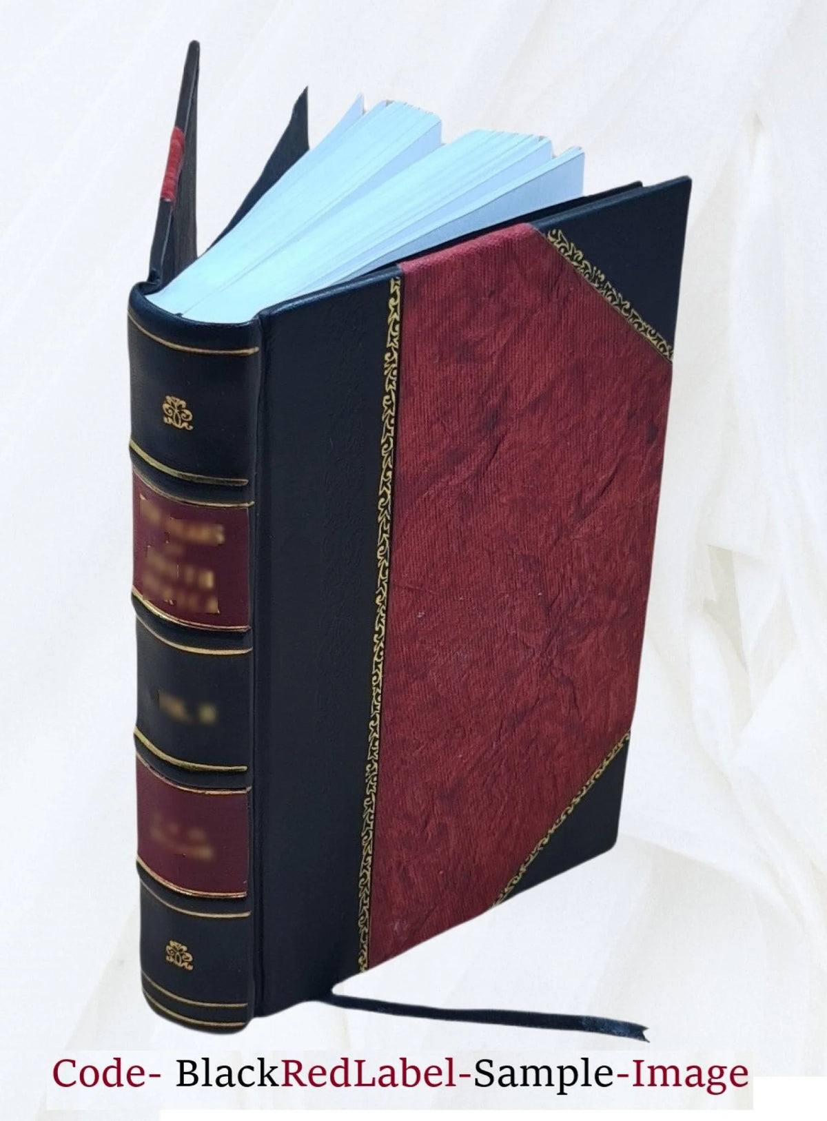 Fontainebleau Itinéraire de la forêt et des environs Leather Bound N742936