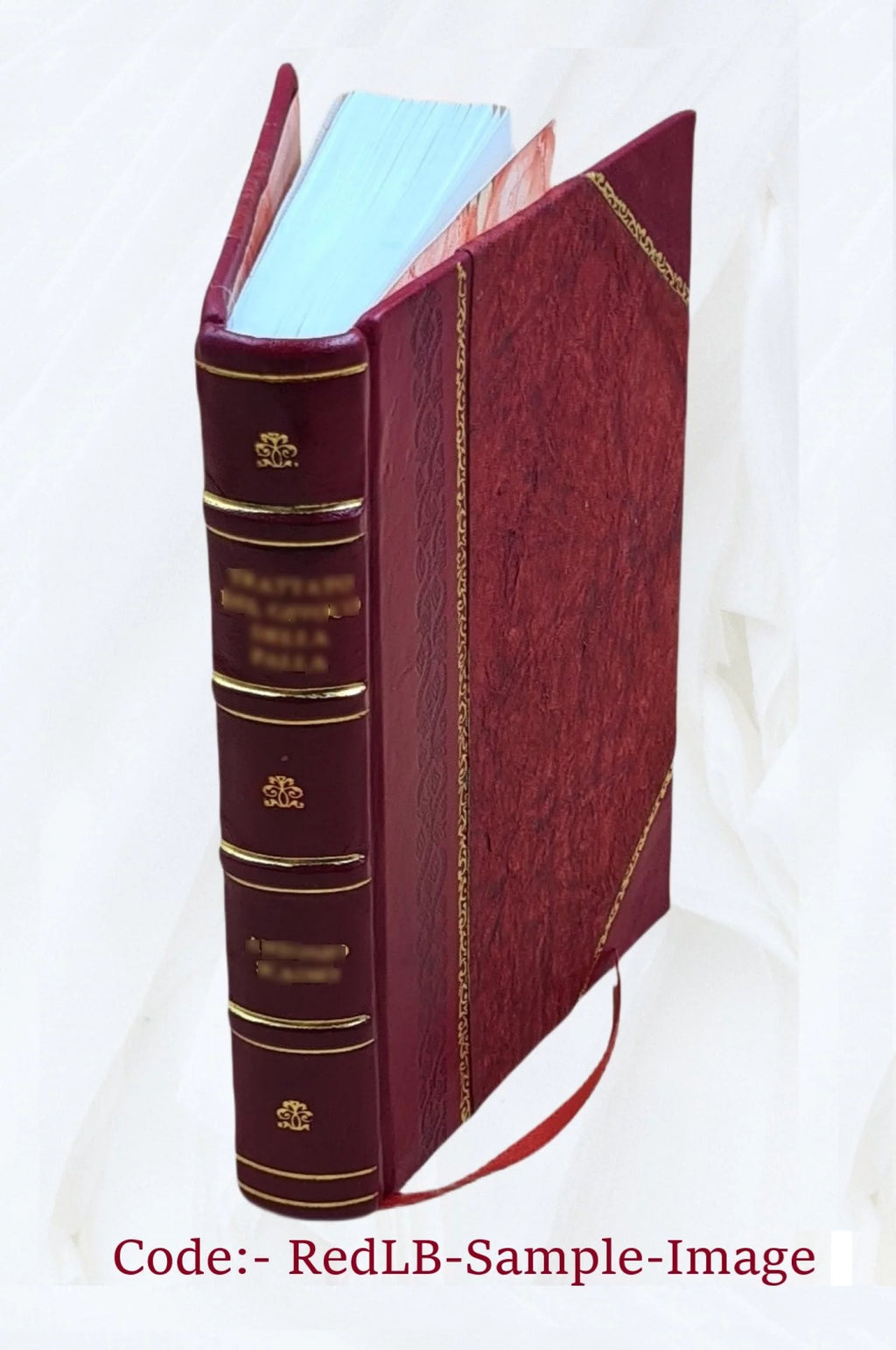 Fontainebleau Itinéraire de la forêt et des environs Leather Bound N742936