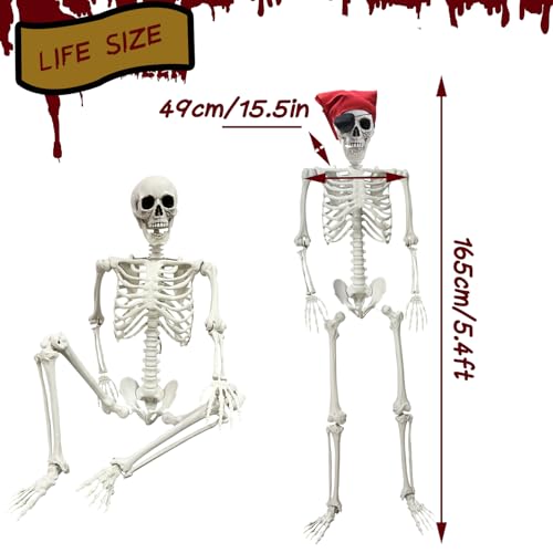 5.4Ft Life Size Posable Skeleton S827818
