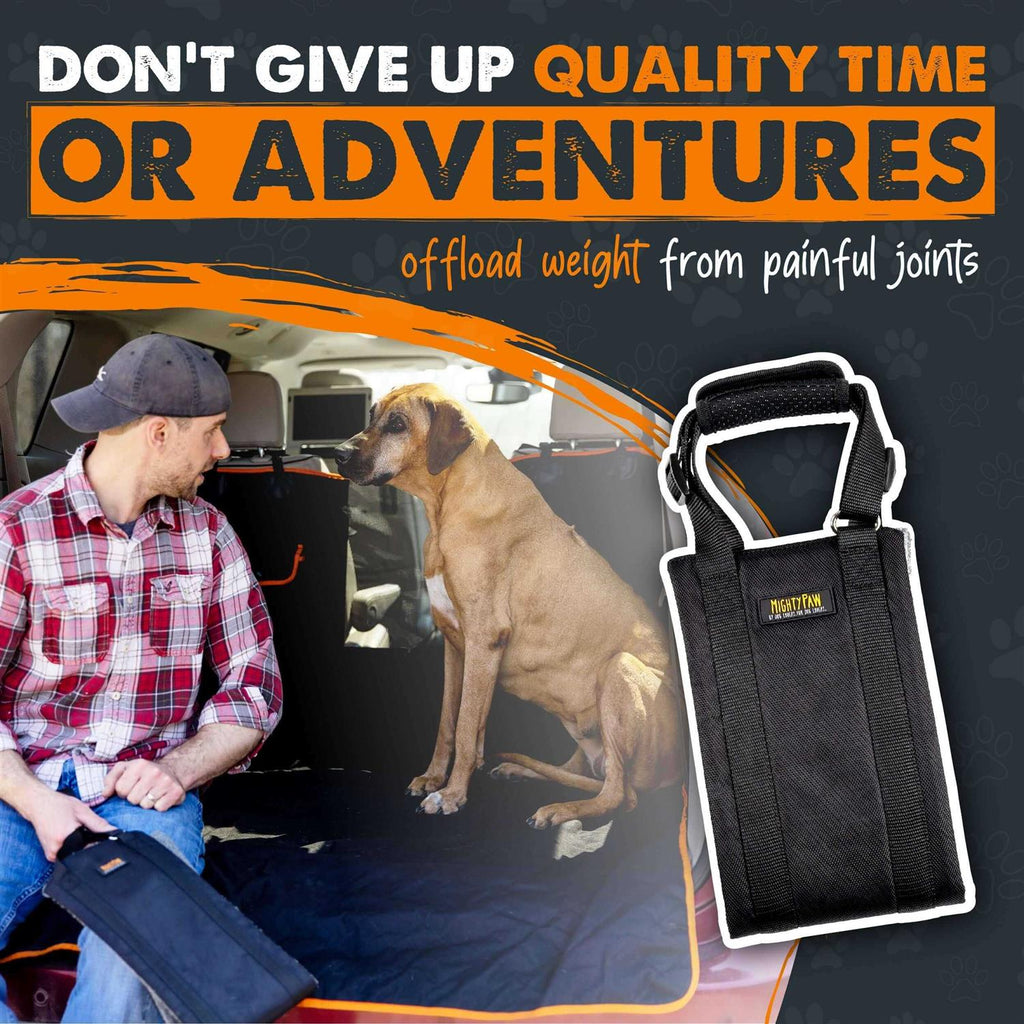 Dog Lift Harness X591957