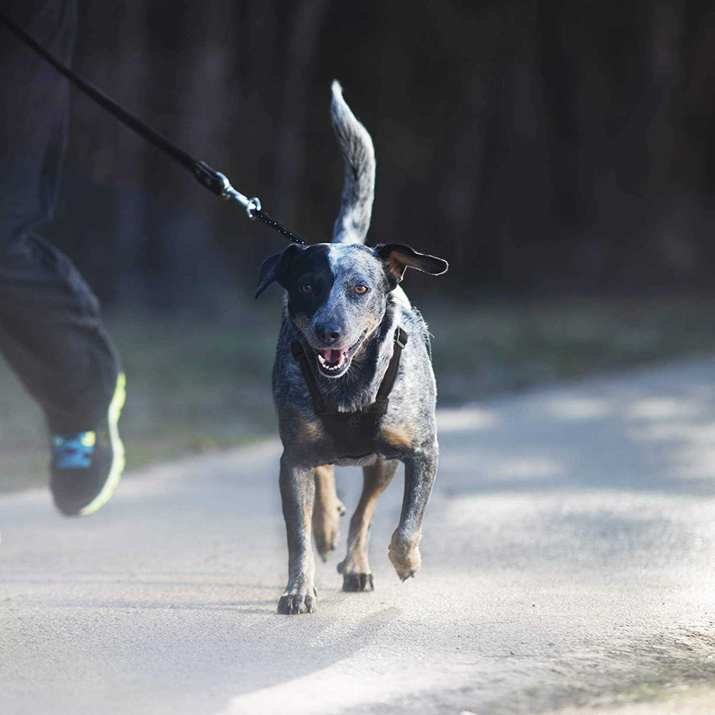 Mesh Non Pull Dog Harness X7057