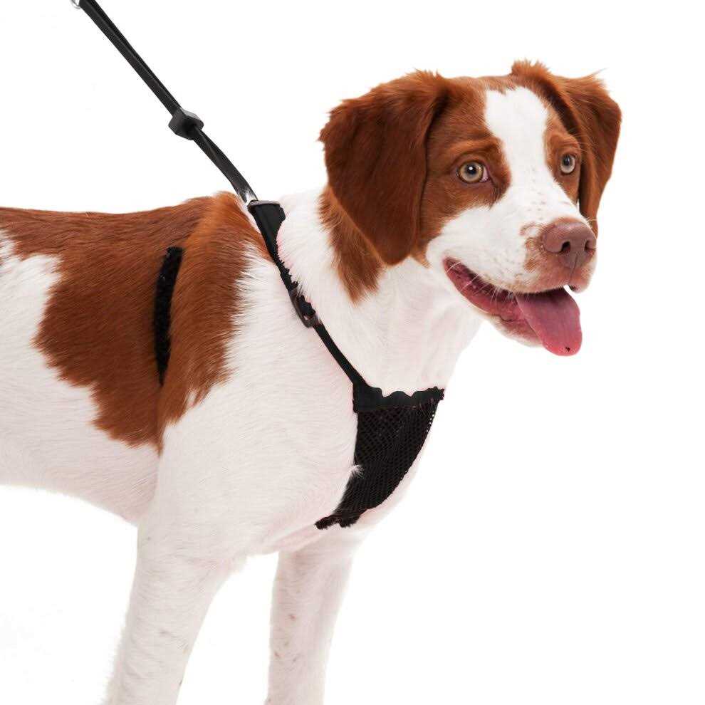 Mesh Non Pull Dog Harness X7057