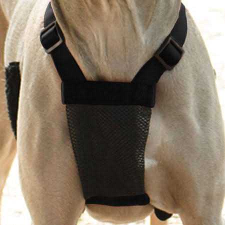 Mesh Non Pull Dog Harness X7057