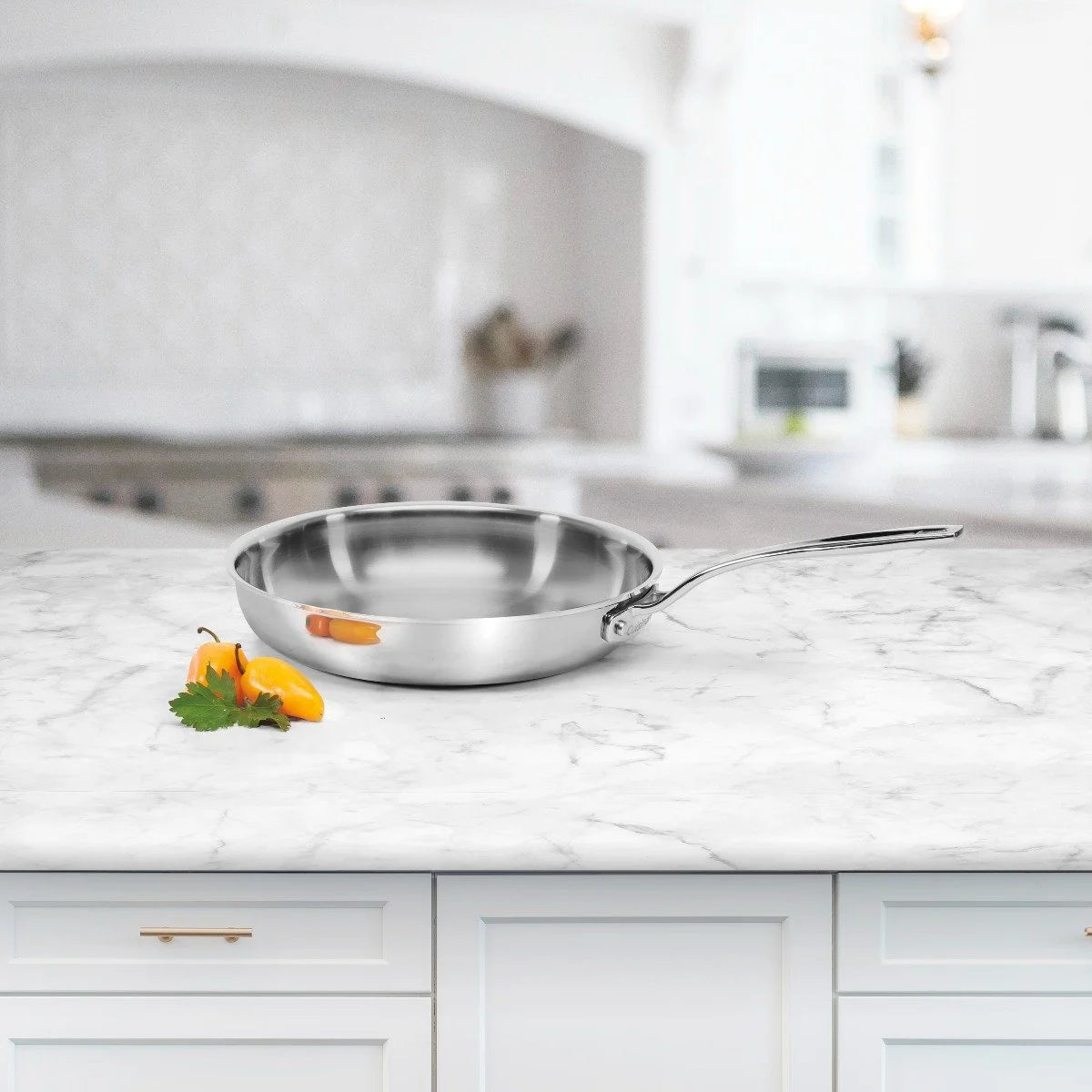 5-Ply Stainless Steel Fry Pan T8926