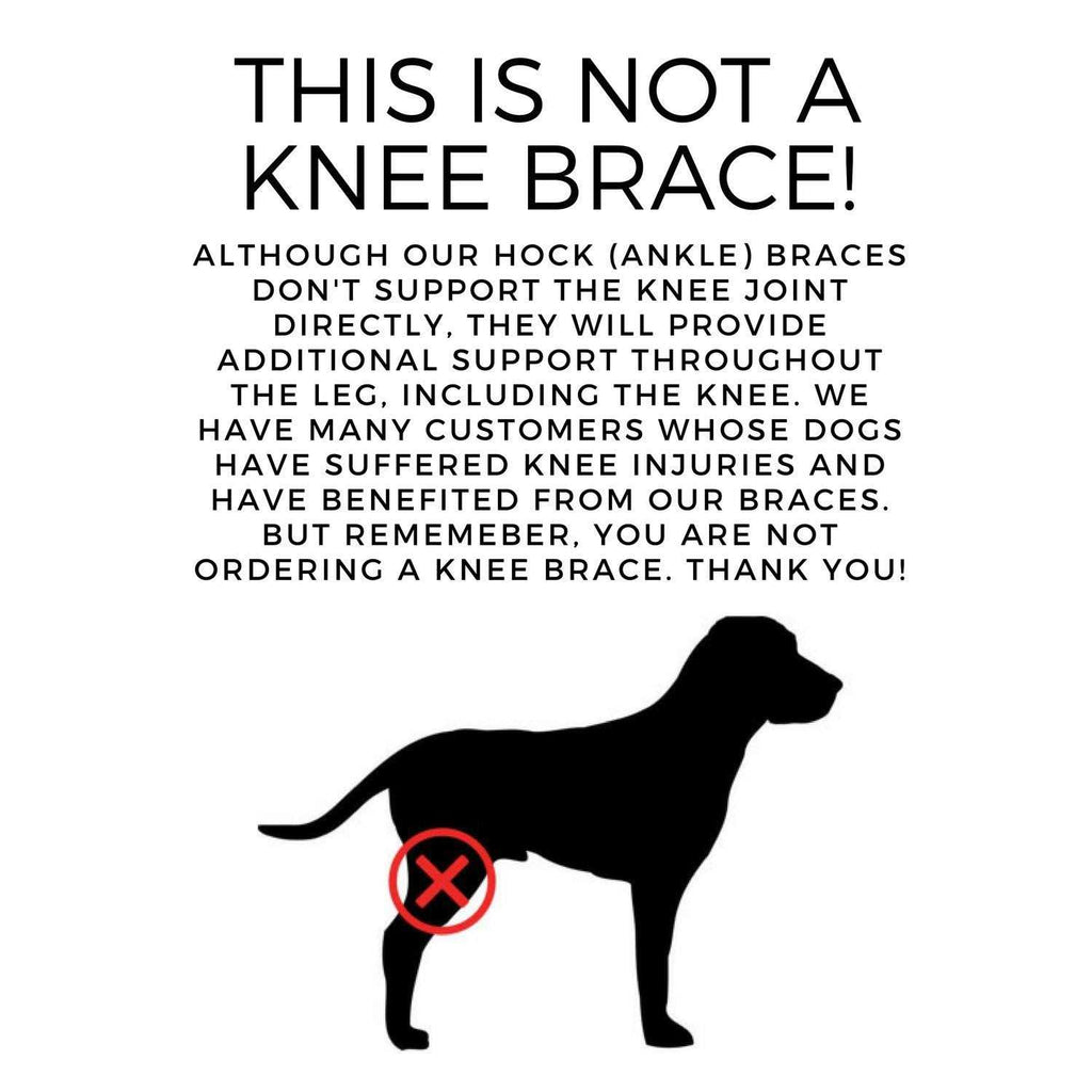 Dog Rear Leg Hock Joint Compression Wrap V52672
