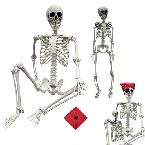 5.4Ft Life Size Posable Skeleton S827818